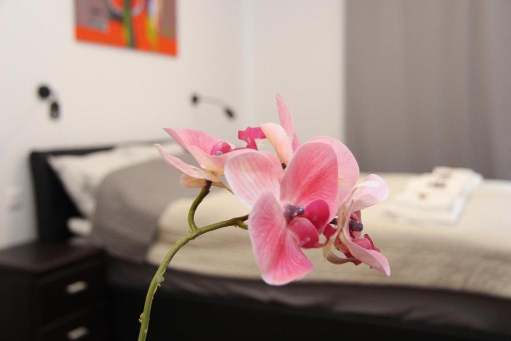 Fotografia z galérie ubytovania APARTMÁN K2 Zuberec v Zuberci
