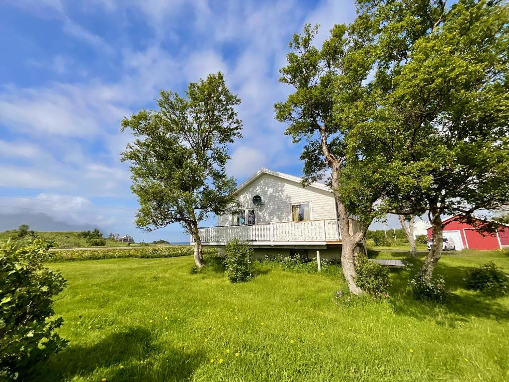 an old farm house with trees in a field at The Birch Grove House Lofoten in Alstad