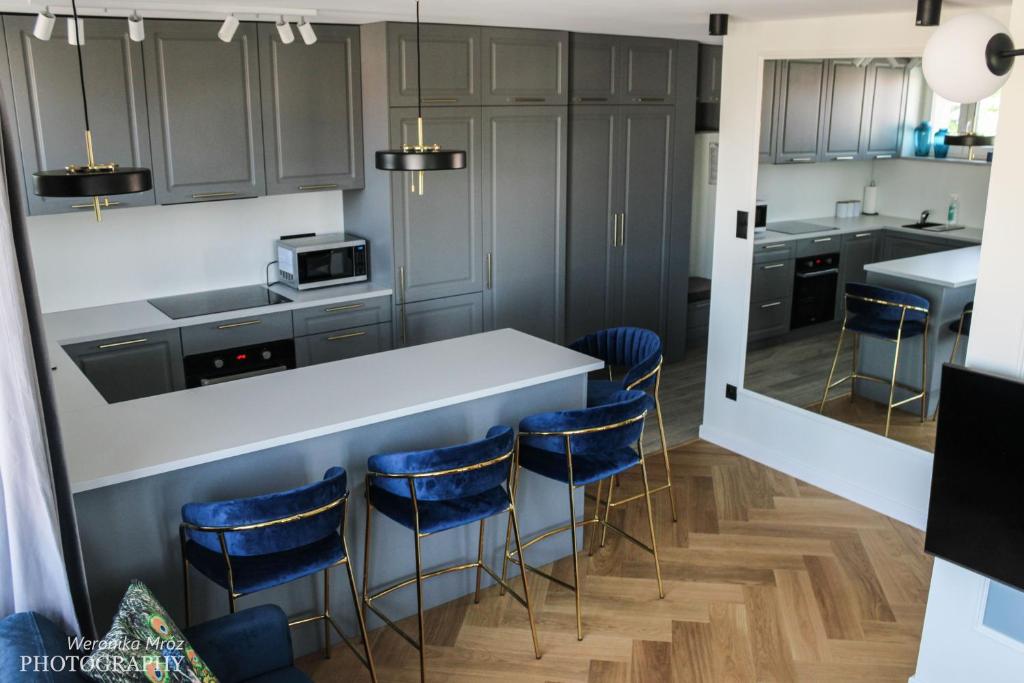 Kuchyňa alebo kuchynka v ubytovaní D Apartments "Z wizytą u Branickich"