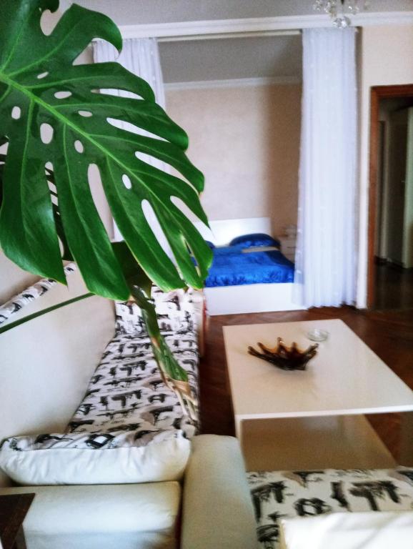 ein Wohnzimmer mit einem Sofa und einer Pflanze in der Unterkunft apartment on melashvili 4 old batumi in Batumi