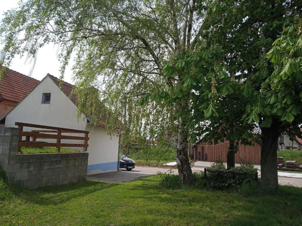 ein Haus mit einem Zaun und einem Baum im Hof in der Unterkunft Sklep U Petra in Velké Bílovice