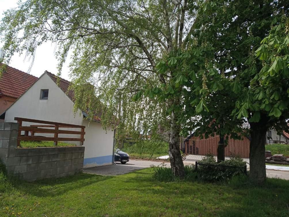Zahrada ubytování Sklep U Petra