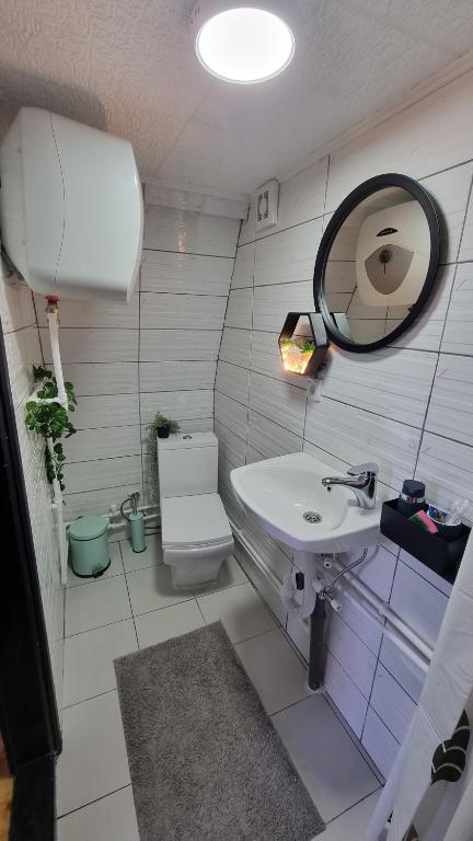 a bathroom with a sink and a mirror and a toilet at A Pine vikendica u srcu Zapadne Srbije in Nova Varoš