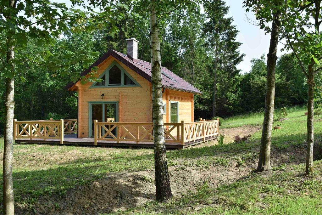 una pequeña cabaña en el bosque con árboles en Ogród Shinrin Yoku (Haru) Odpoczynek w Lesie, en Srokowo