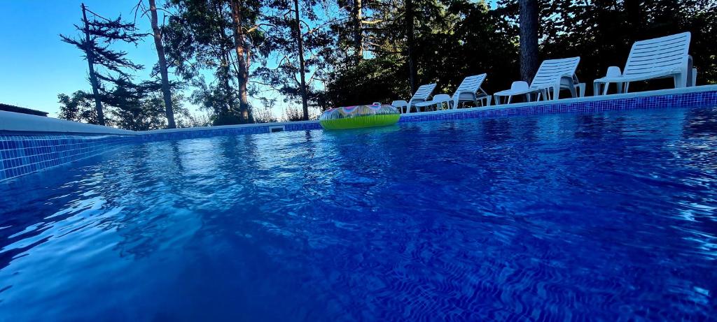 a pool of blue water with chairs and a raft in it at Vila Sinfonia, a house with a pool in Velika Remeta
