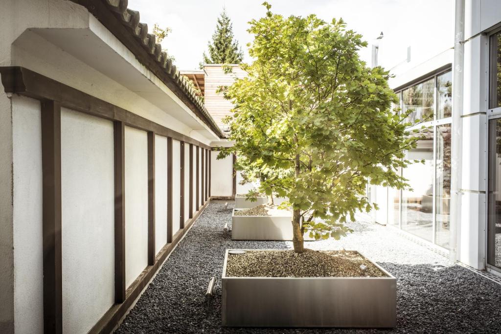 Hotel Ambassador - Resim 42