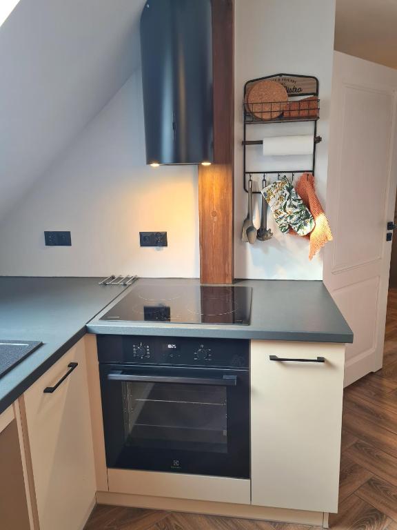 Kuchnia lub aneks kuchenny w obiekcie Apartament nad BRDĄ , agroturystyka.