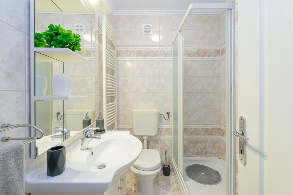 Koupelna v ubytování Apartment Vita