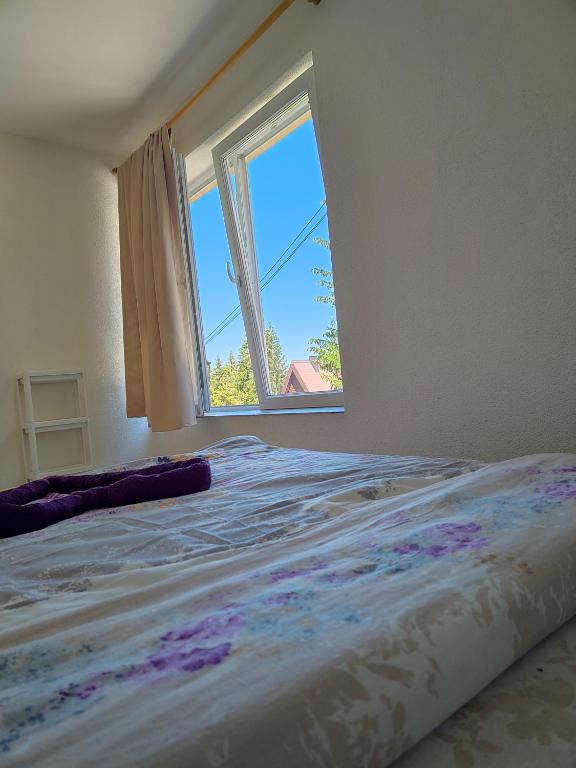 Apartment Durmitor - 14