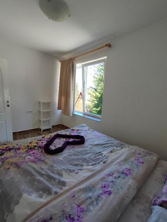 Apartment Durmitor - 13