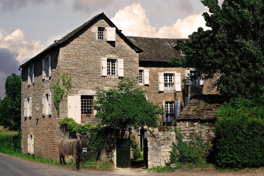 un caballo parado frente a una casa de piedra en Maison d'Hôtes La Singulière, en Sévérac-le-Château