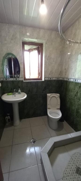 a bathroom with a toilet and a sink at Дом для отдыха близко Батуми in Batumi