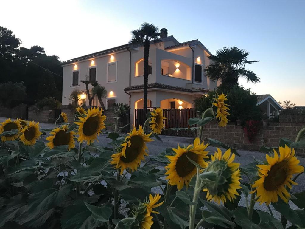 a field of sunflowers in front of a house at B&B Isa in Loreto