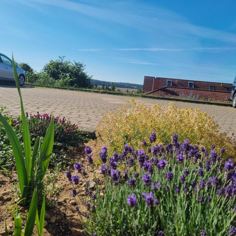 a garden with purple flowers in a parking lot at Müritz-Pension Waren in Waren