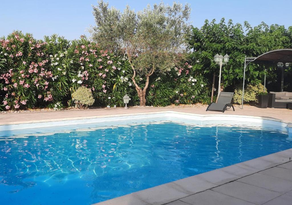 Bazén v ubytovaní Echappée en Provence Appartement Mont Mirail alebo v jeho blízkosti