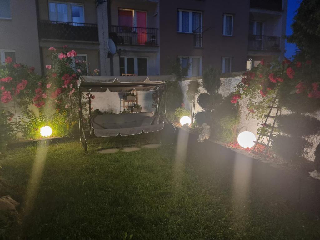 Ogród w obiekcie Vasco