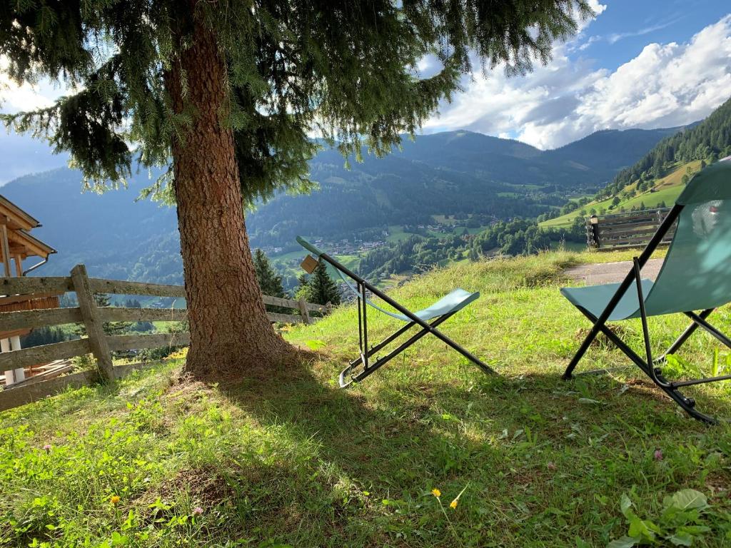 a chair sitting under a tree next to a tree at Panoramaalm - Ski in - Ski out in Bad Kleinkirchheim