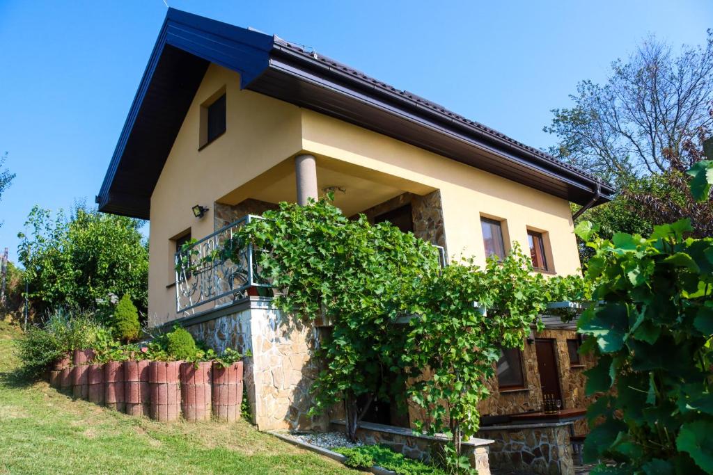 une maison avec un paquet de raisins devant elle dans l'établissement Počitniška hiška pod Hadikom, à Lendava