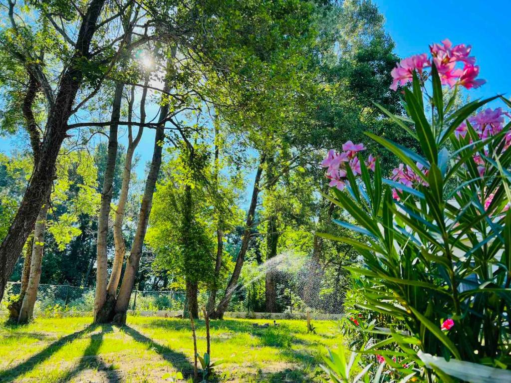 Zahrada ubytování Garden Villas