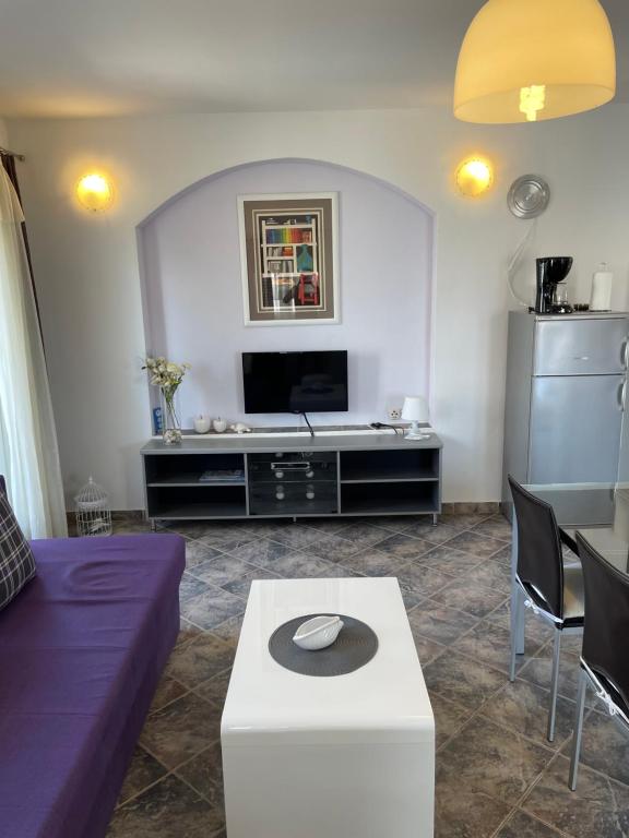 TV a/nebo společenská místnost v ubytování Luxury apartments SYCAMORE 4*