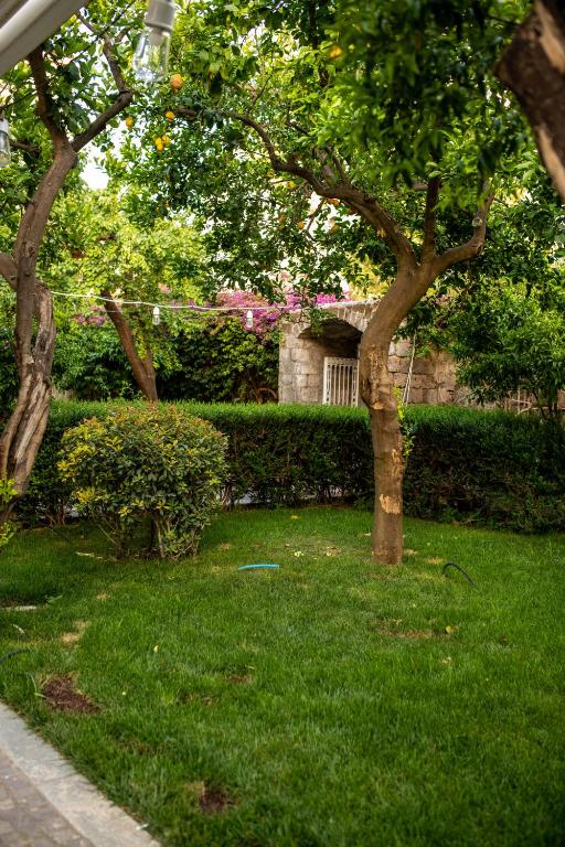 Zahrada ubytování Artis Domus Relais & Spa