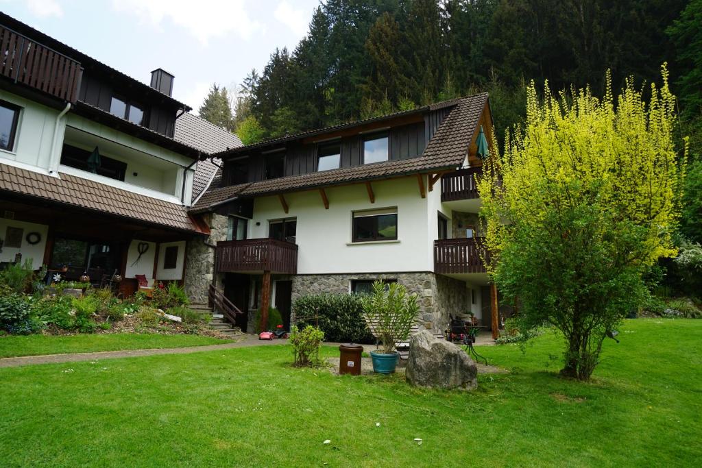 Zahrada ubytování Höllkopf - Stubenhof, Black Forest