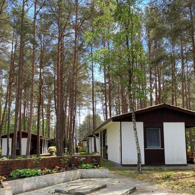 Bungalow im Kiefernwald direkt an der Ostsee (b) - Two-Bedroom House