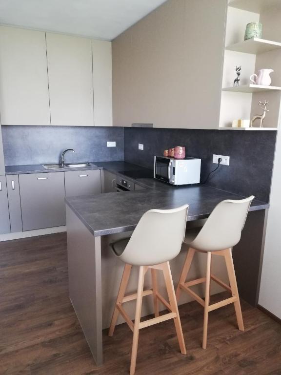 Kuchyň nebo kuchyňský kout v ubytování GLAM apartmán Bučovice