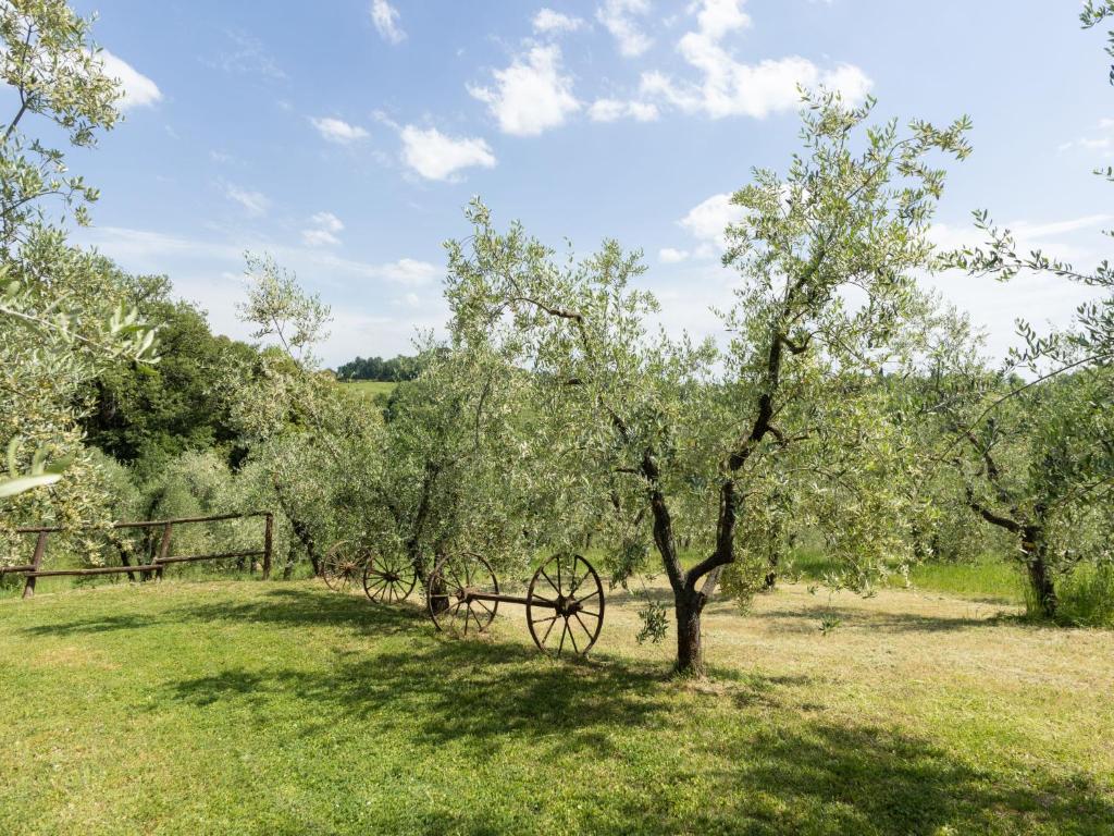 Príroda v okolí apartmánu