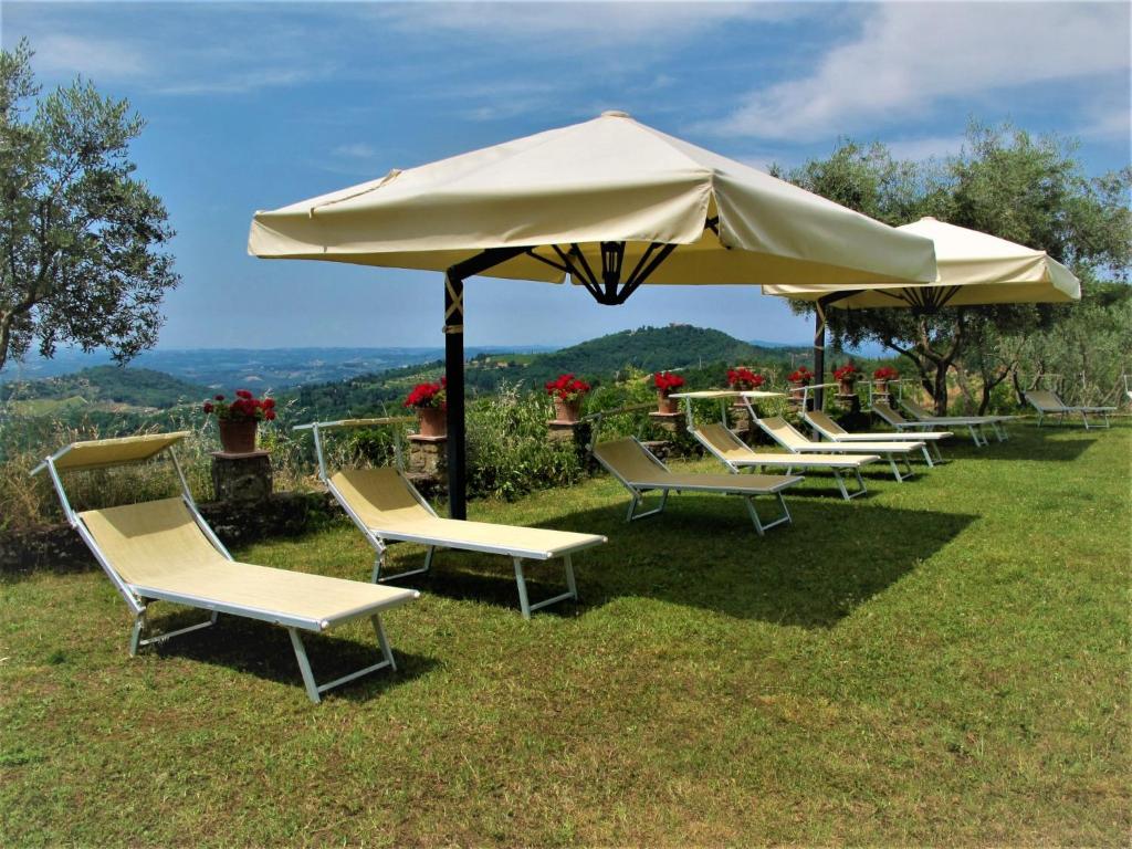 Táj Show holiday homes közelében