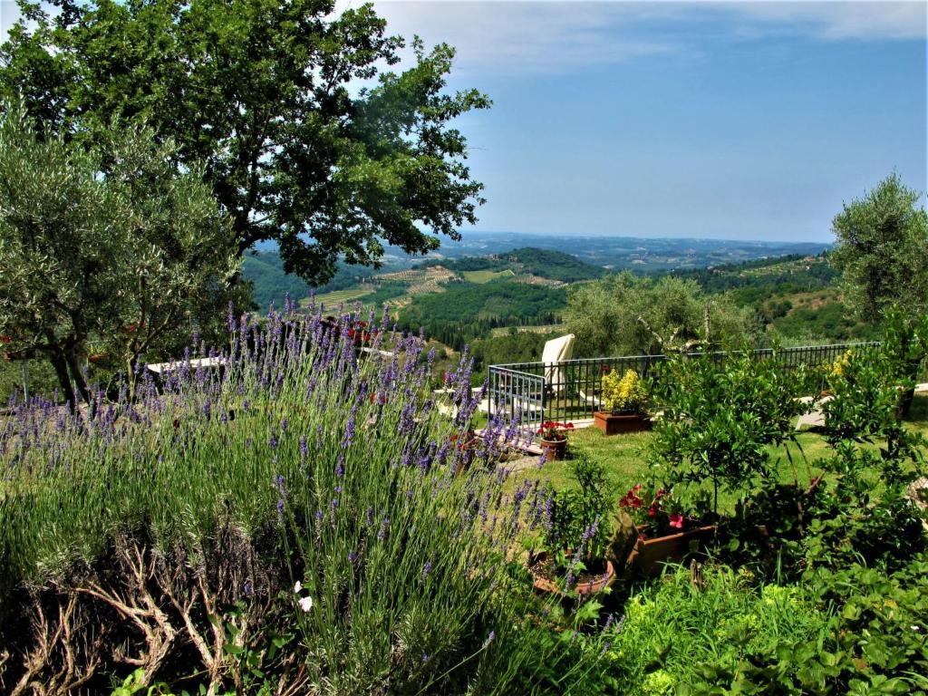 Táj Show holiday homes közelében