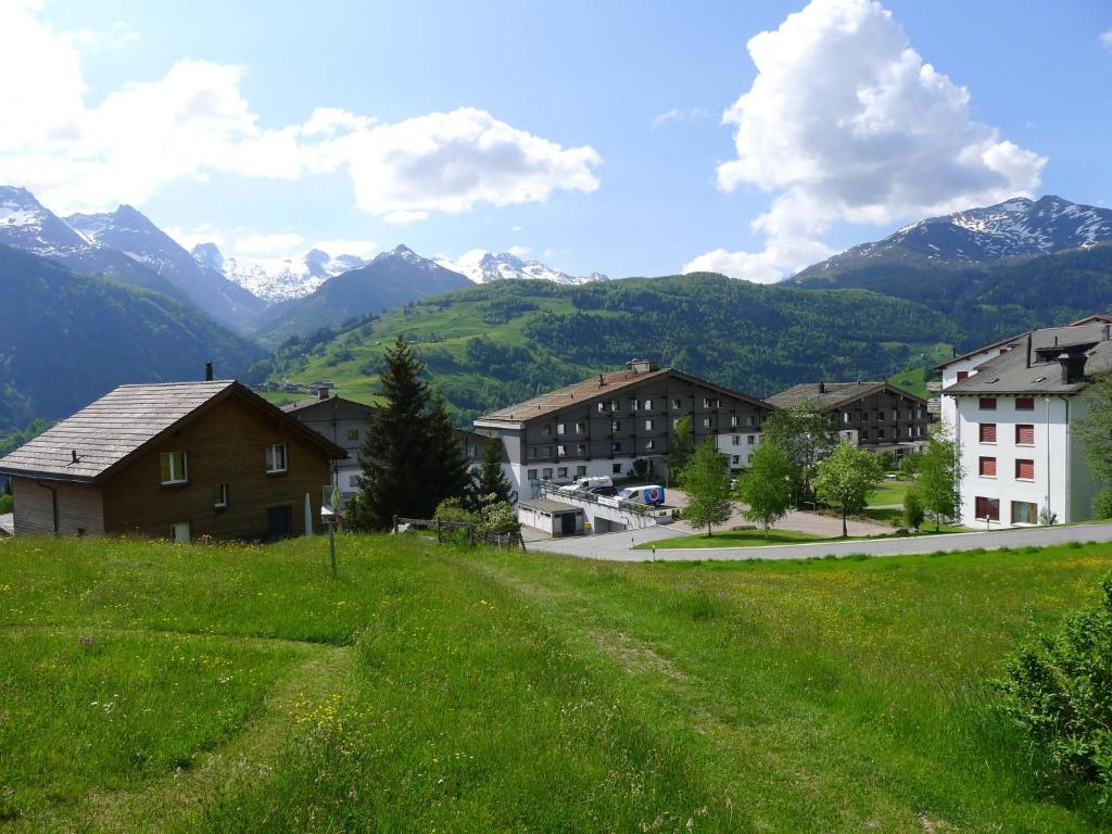 Příroda nedaleko apartmánu