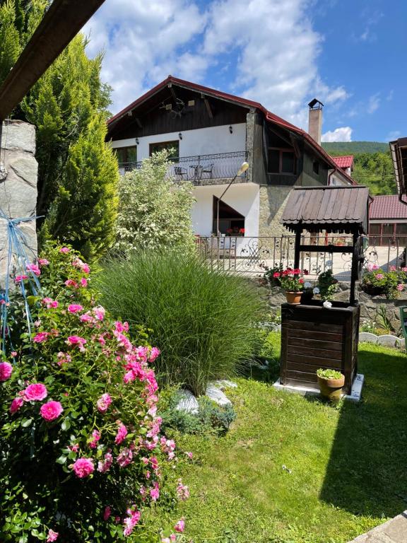 einen Garten mit rosa Blumen und einem Haus in der Unterkunft La Buna Văliug in Văliug