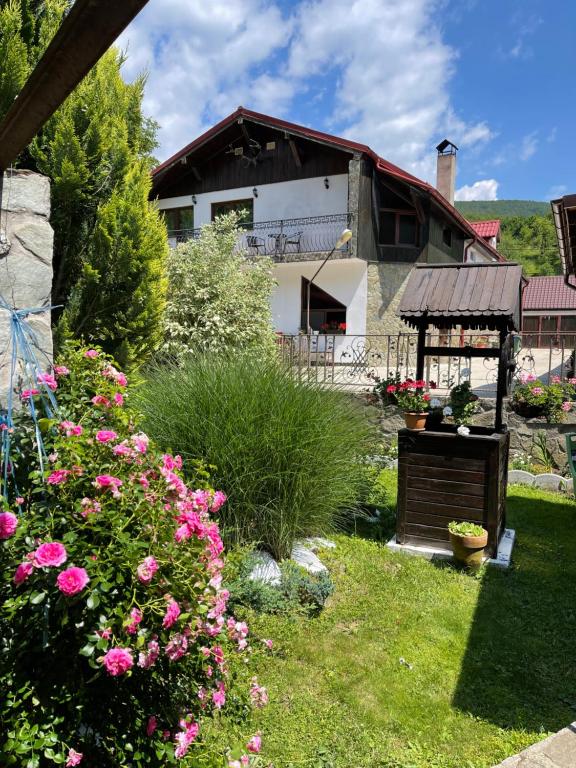 Imagen de la galería de La Buna Văliug, en Văliug