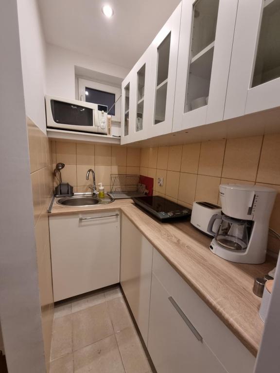Kuchyň nebo kuchyňský kout v ubytování Willa ALBATROSA 9