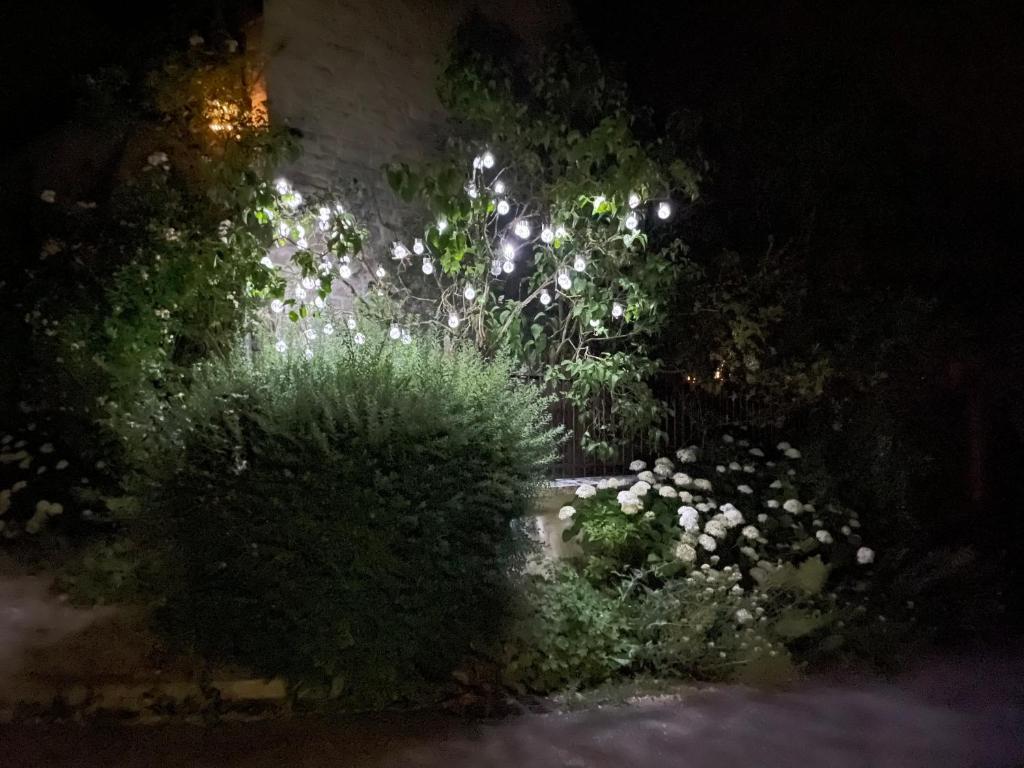 Bulles & Bubbles... - 13