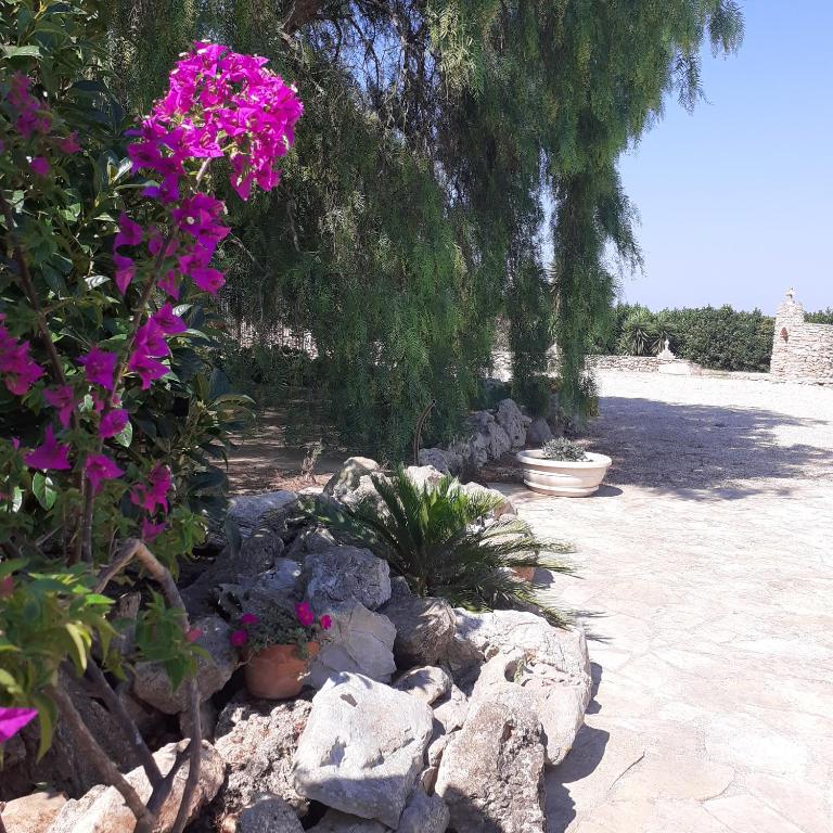 Gli spazi all'aperto del B&B Dolce Salento, immersi nel verde della campagna di Nardò