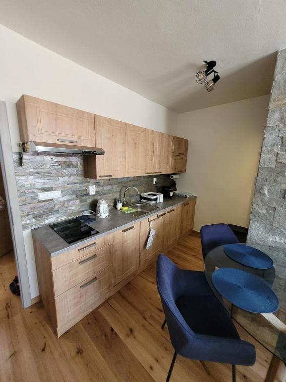 Kuchyň nebo kuchyňský kout v ubytování Artur Apartment Myto