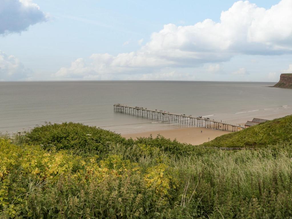 a view of a beach with a pier at Bluewater View in Saltburn-by-the-Sea
