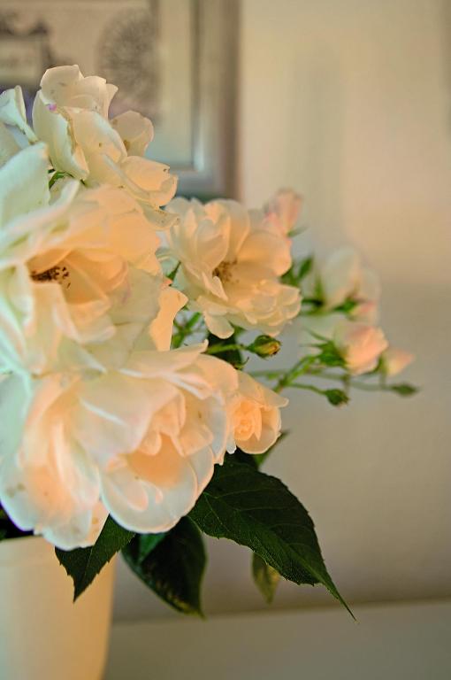 Hotel Miramar - Resim 20