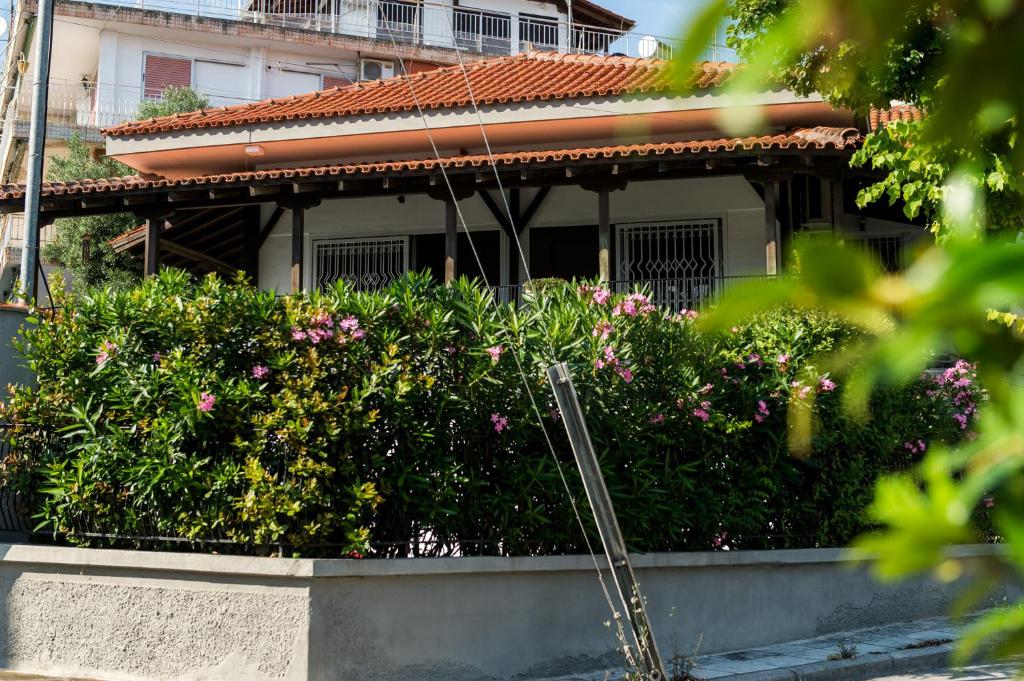 Zahrada ubytování Villa LINDEN Kallikratia