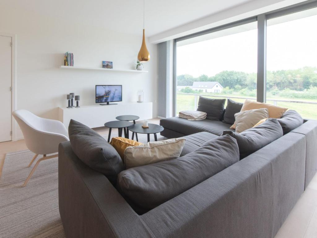 德哈恩的住宿－Apartment Duinenhof by Interhome，客厅设有一张灰色沙发,客厅设有大窗户