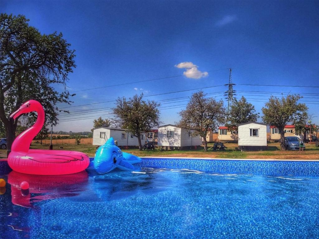 a swimming pool with a pink flamingo and a blue float at Holiday Home Prima by Interhome in Prague