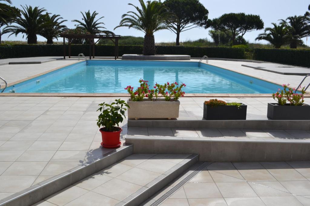 Πισίνα στο ή κοντά στο Appartement Saint Cyprien t2 rez de jardin résidence les capitelles