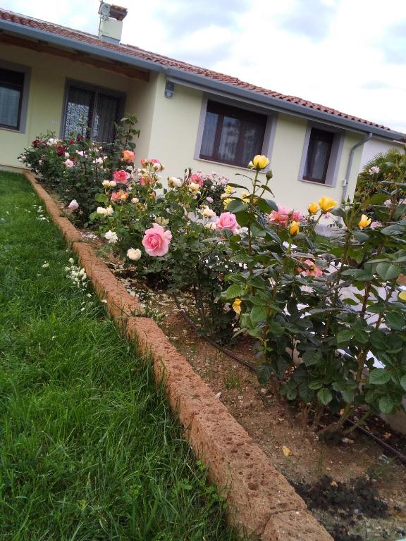 Zahrada ubytování B&B Fili d'erba