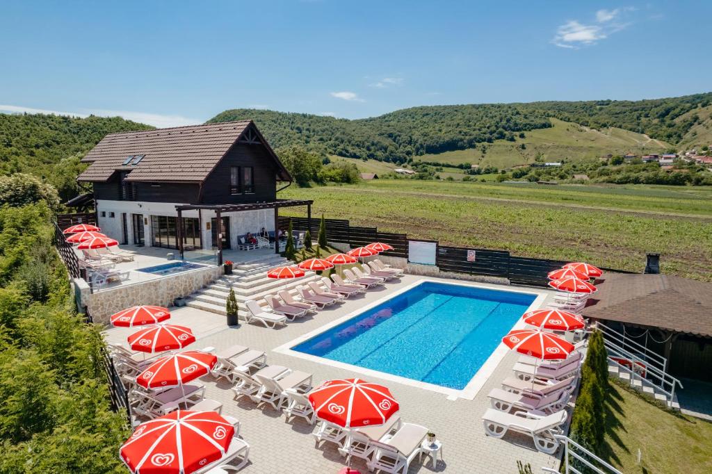 an aerial view of a swimming pool with umbrellas and chairs at Pensiunea Perla Transilvaniei in Moldoveneşti