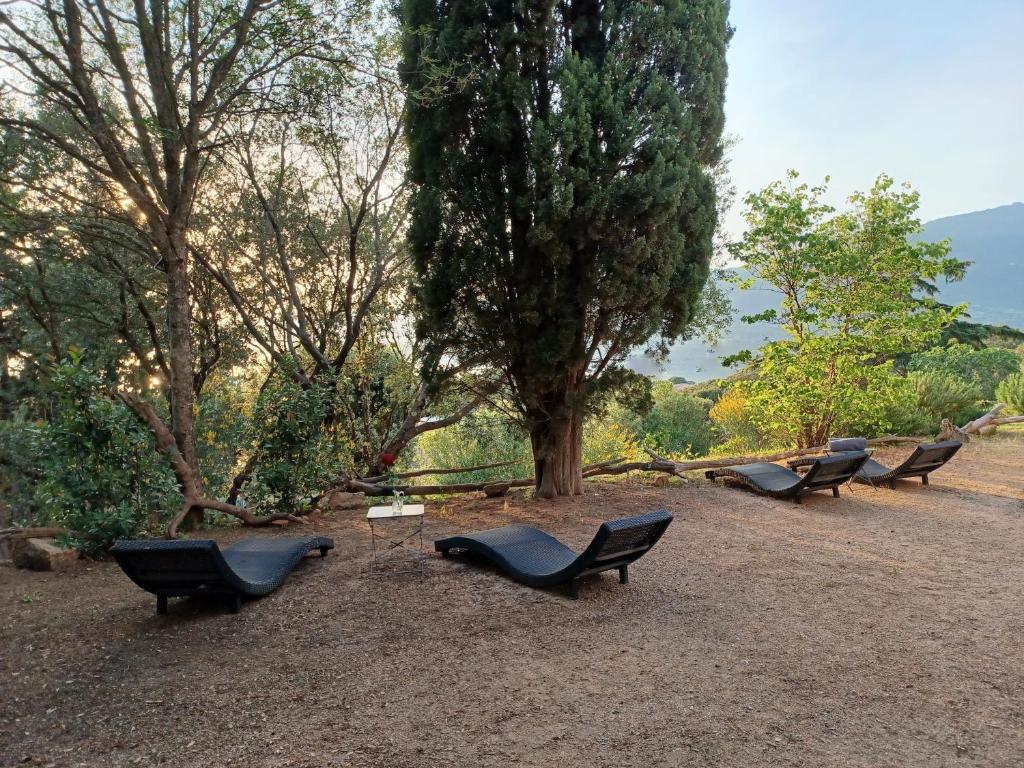 U Castellu, l' hôtel particulier - 14