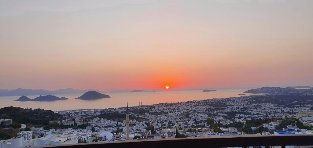 Horizon magnifique vue panoramique mer et nature