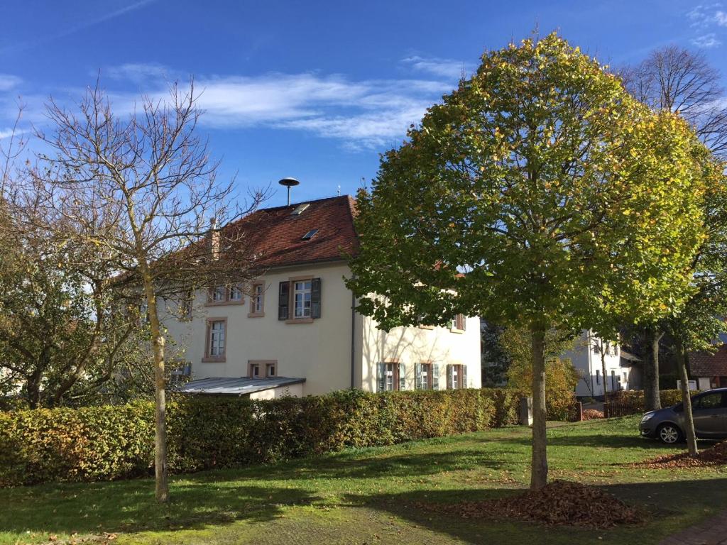 Zahrada ubytování Altes Schulhaus Mutschelbach