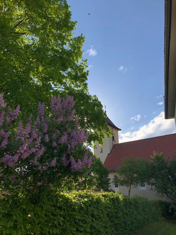Zahrada ubytování Altes Schulhaus Mutschelbach